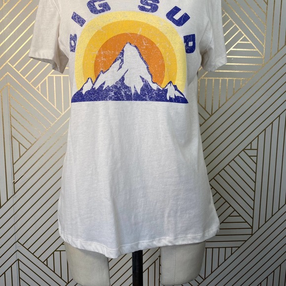 Chaser Tops Chaser Big Sur Graphic Tee Tshirt In Au Lait Poshmark